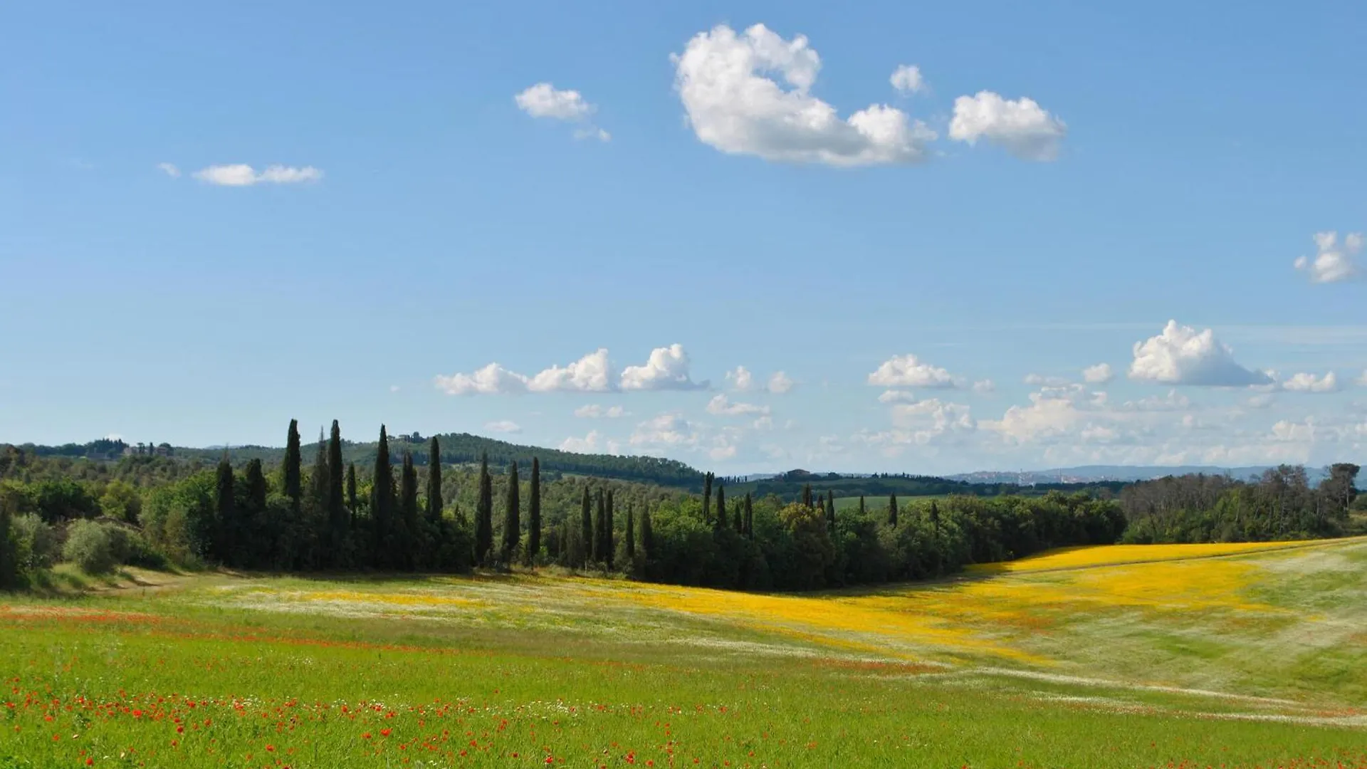 Holiday home Il Poggettone Villa Monteroni d'Arbia